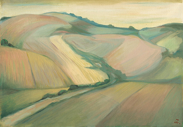 Matilda Čechová – Tvrdošín - polia 