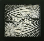 Ašot Haas – Morphic resonance 2 