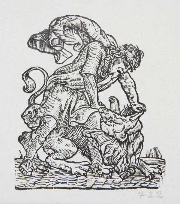 Neznámy autor – Samson 