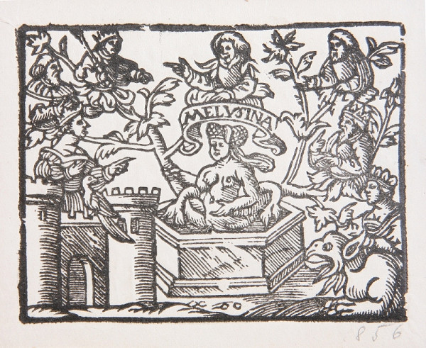 Neznámy autor – Meluzína 