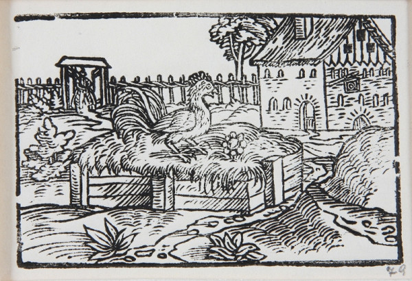 Neznámy autor – Kohút na hnojisku