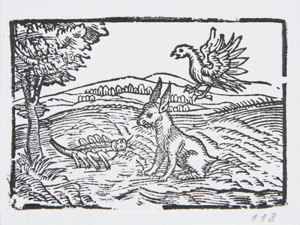 Neznámy autor – Zajac, vták a stonožka - Ilustrácia k Ezopovým bájkam