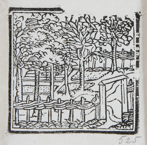 Neznámy autor – Záhrada 