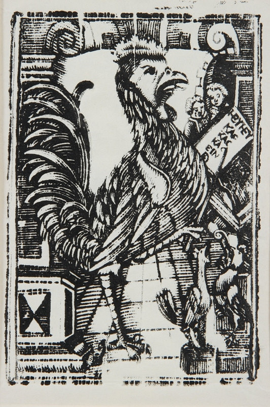 Neznámy autor – Kohút - Ilustrácia šľabikára 