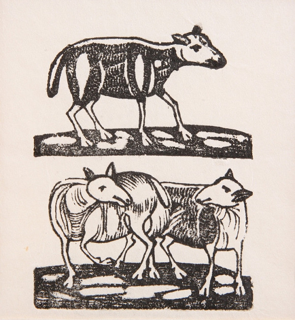 Neznámy autor – Ovce 