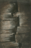 Ľubomír Rapoš – Drevo 