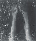 Tono Stano – Život pod hladinou 2. 