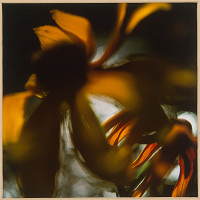 Martin Martinček – Rozkvitnutý deň 3 