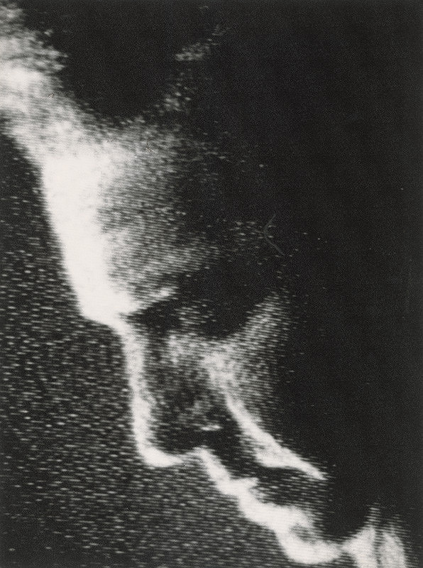 Pavol Breier st. – Fotografie významných svetových a sovietskych dirigentov a sólistov