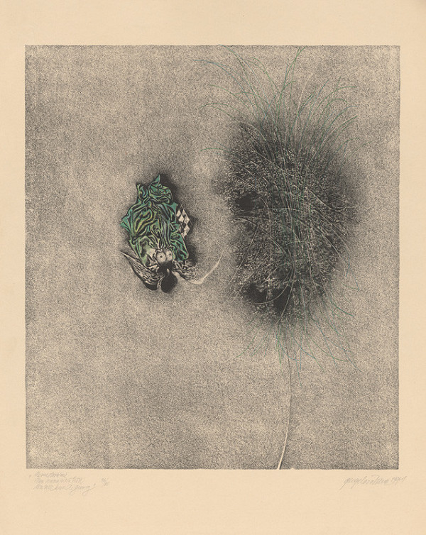 Viera Gergeľová – Nezvestovanie 