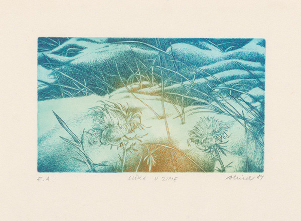 Jozef Hricek – Lúka v zime 