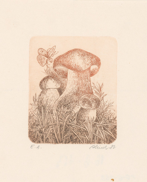 Jozef Hricek – Bez názvu 