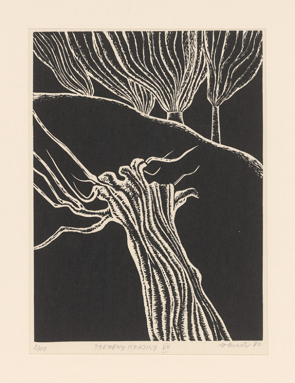 Jozef Hricek – Premeny krajiny VII. 