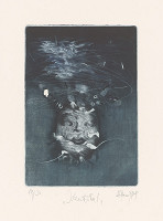 Robert Brun – Identita I. 