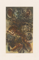 Robert Brun – P.M. Vergilius: Aeneas 8 