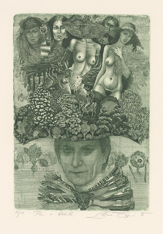 Hana Čápová – Pán v klobouku 