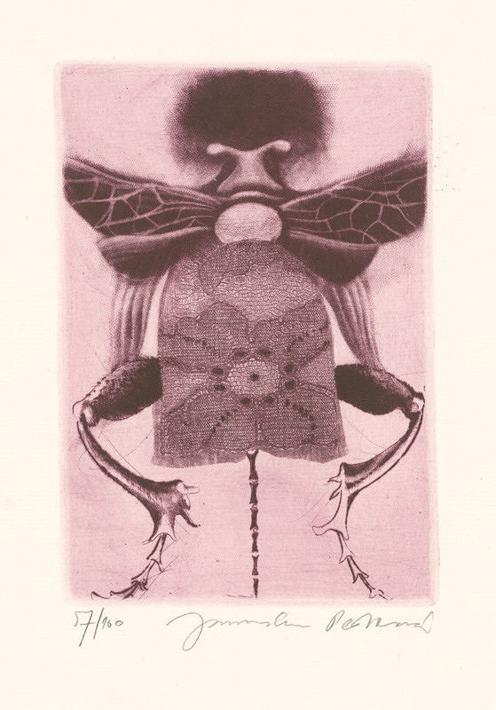 Jaroslava Pešicová – Vratuľa skákavá 