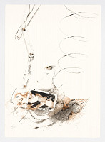 Stanislav Vajce – Zlatoústé houpání 