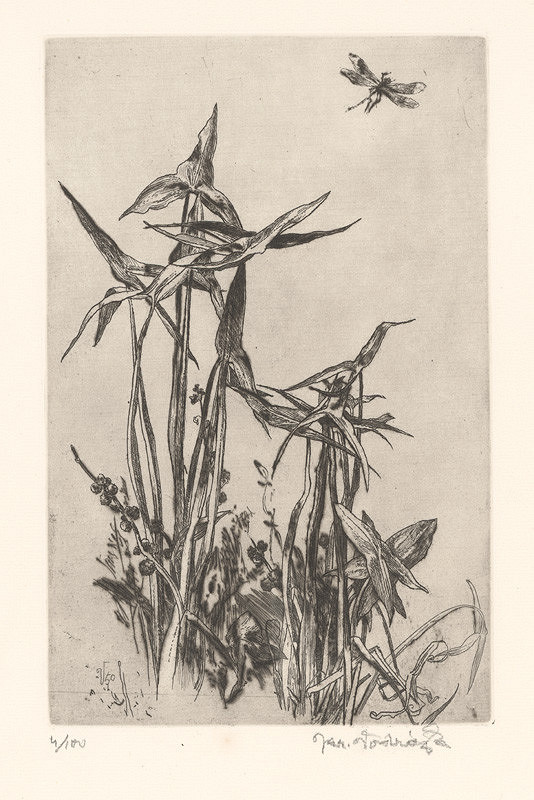 Jaroslav Vodrážka – Šípatka 