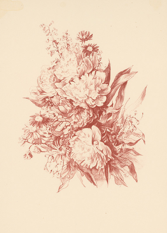 Jaroslav Vodrážka – Pivoňky 