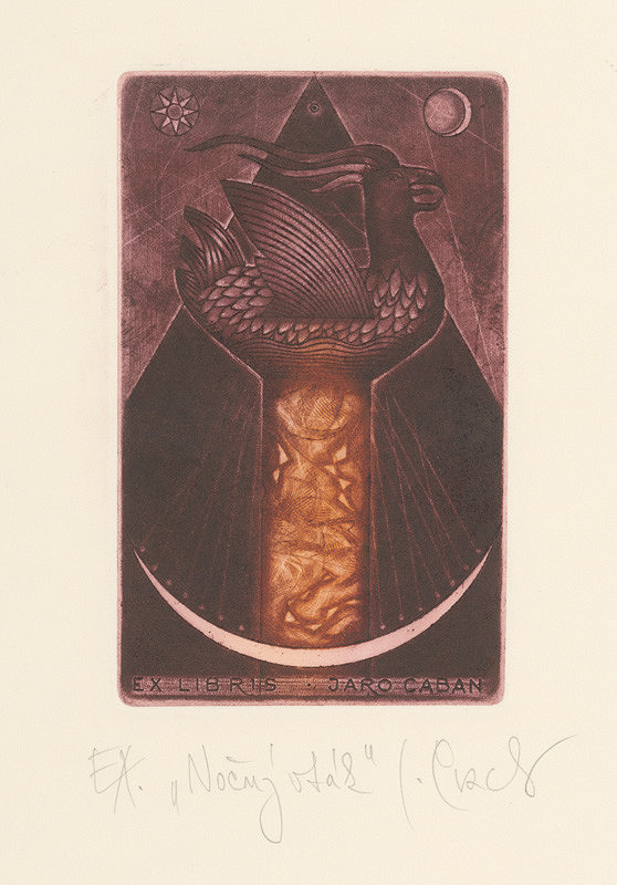 Igor Cvacho – Nočný vták 