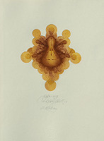 Robert Brun – Talentum et ingenium (grafický list z bibliofílie) 