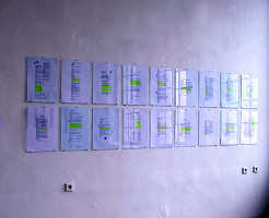 Pavlína Fichta Čierna – Nežiadúce účinky 