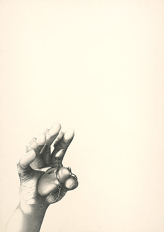 Agneša Sigetová – Kresba I. 