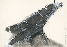 Ivan Pavle – Zajatec IV. 