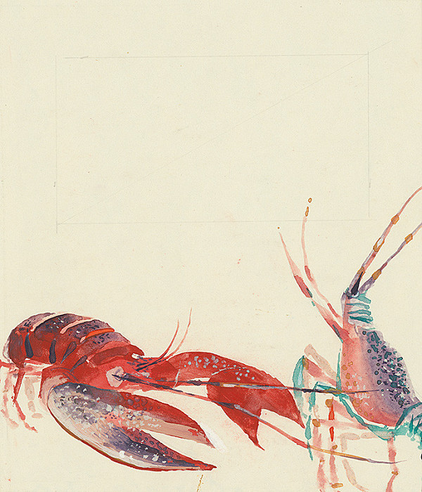 Juraj Šútovský – Tučniačatá Puk a Kuk 