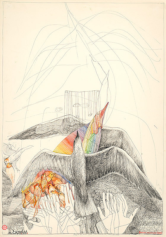 Kamila Štanclová – A najviac sme závideli čajkám 