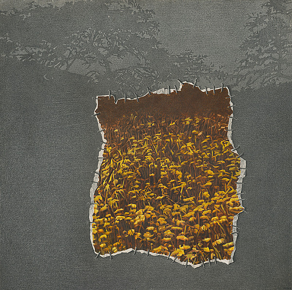 Viktor Hulík – Transplantácia 