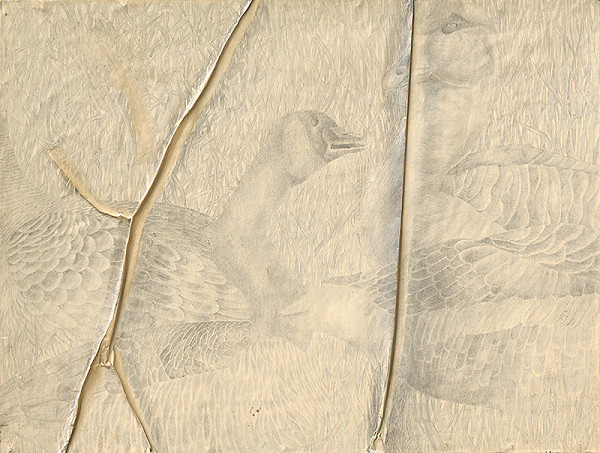 Ladislav Čarný – Skok do svetla - mimikry 