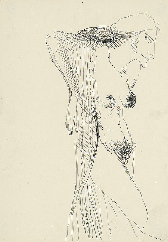 Dušan Pončák – Žena 