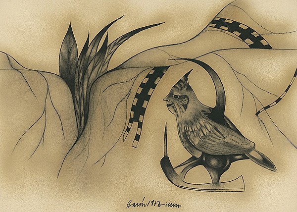 Karol Baron – Chocholúš 