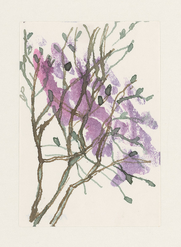 Zita Barčiaková – Z môjho rodiska XI. 