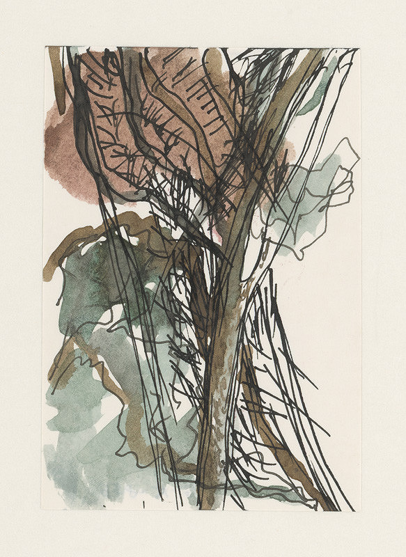 Zita Barčiaková – Z môjho rodiska XII. 