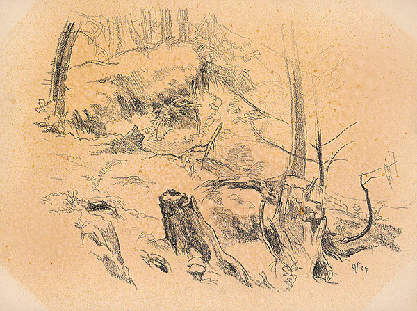 Jaroslav Vodrážka – Les 