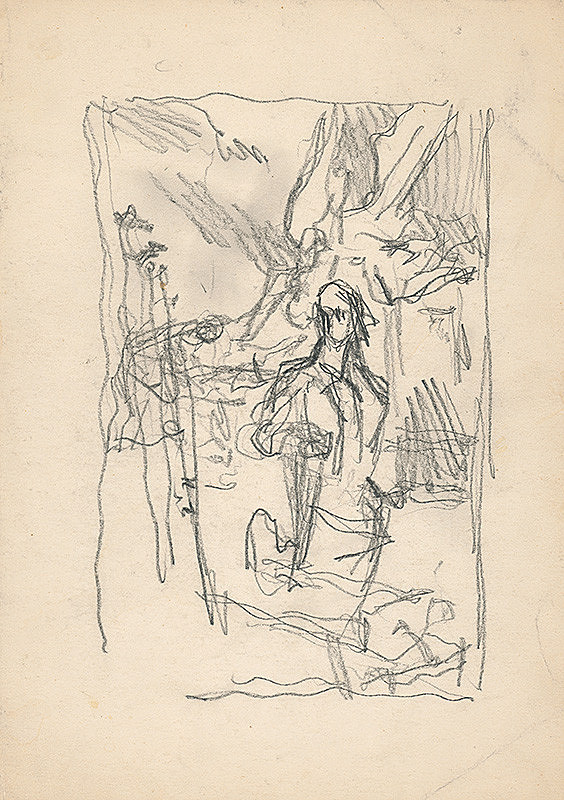 Jaroslav Vodrážka – Postava 