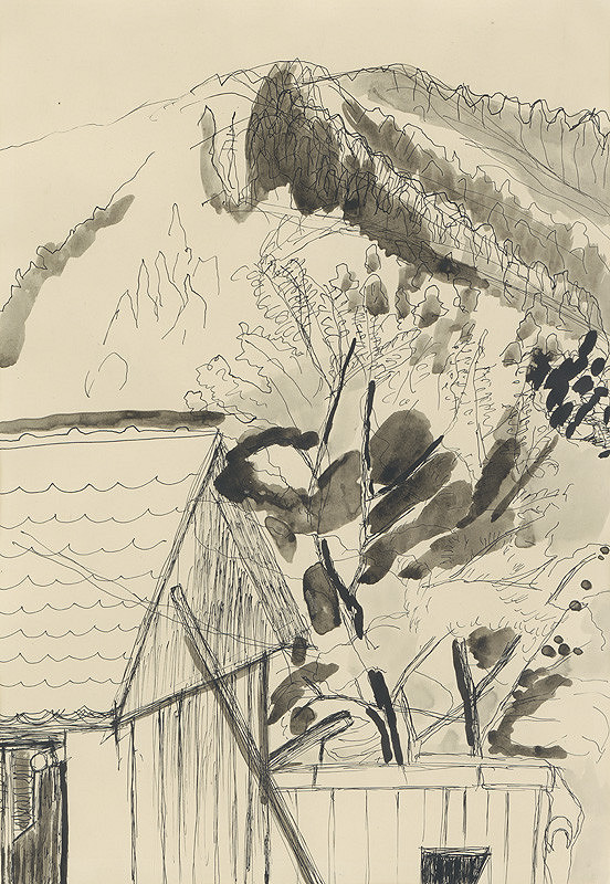 Zita Barčiaková – Šopa vo dvore 