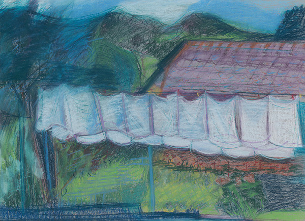 Zita Barčiaková – Plienky a dvor 