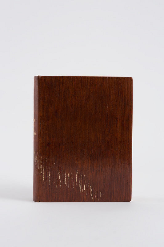 Jan Vrtílek – Orbis senzualium pictus 