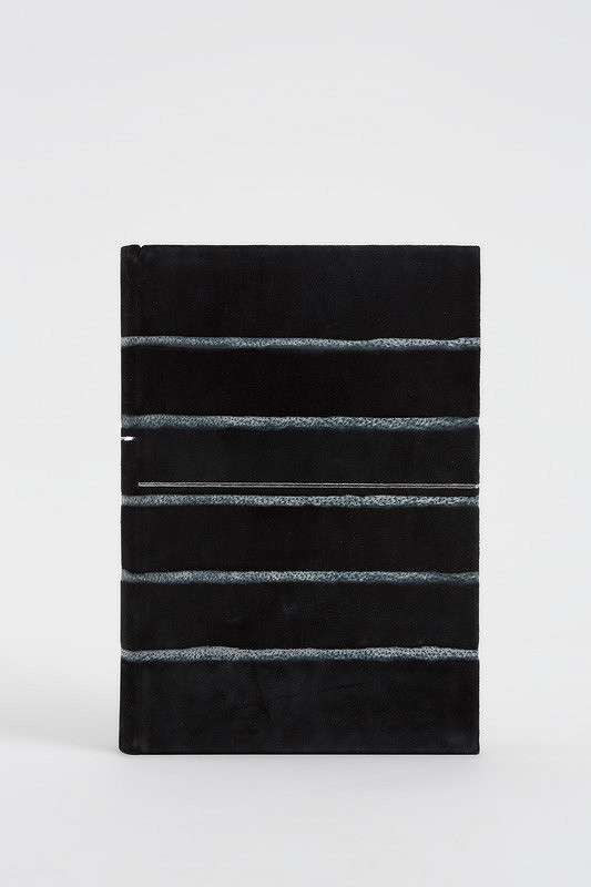 Jan Vrtílek – Ezop Václava Hollara 