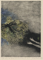 Viera Gergeľová – Litografia na tému A. S. Puškina II. 