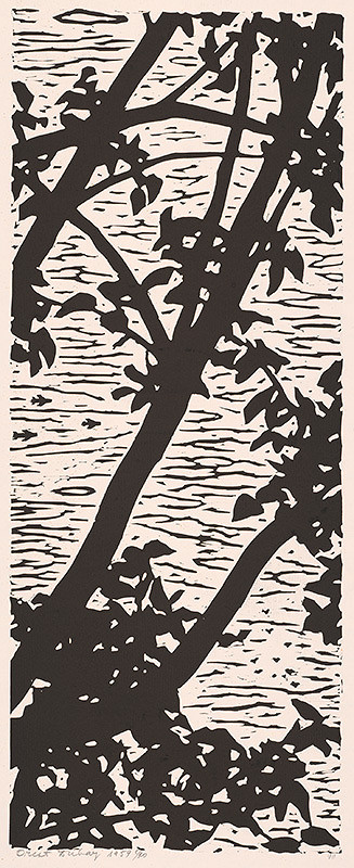 Orest Dubay – List č.VII. 