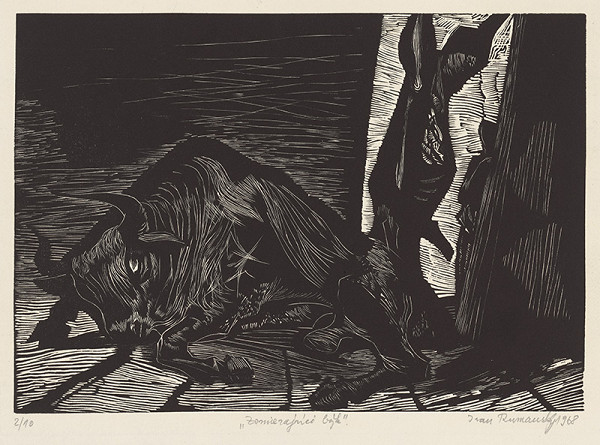 Ivan Rumanský – Zomierajúci býk 