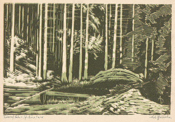 Anton Djuračka – Čierny Váh 