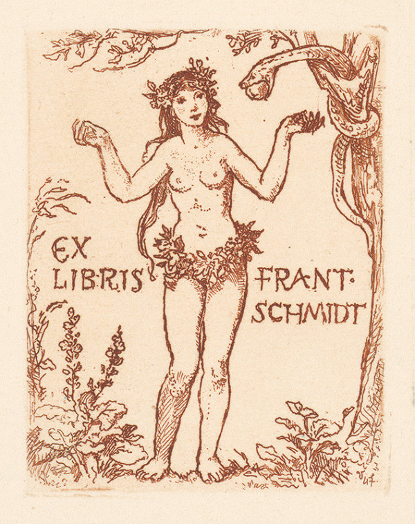 Jaroslav Vodrážka – Ex libris Frant. Schmidt 