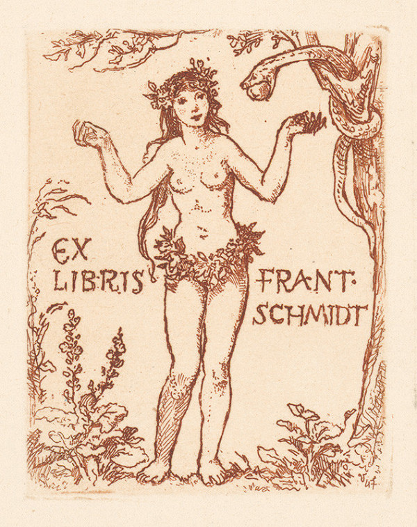 Jaroslav Vodrážka – Ex libris Frant. Schmidt