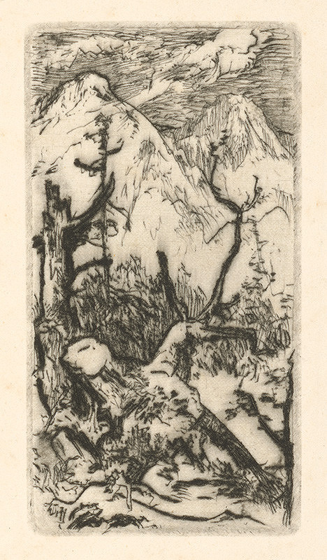 Jaroslav Vodrážka – Vyvrátený peň 